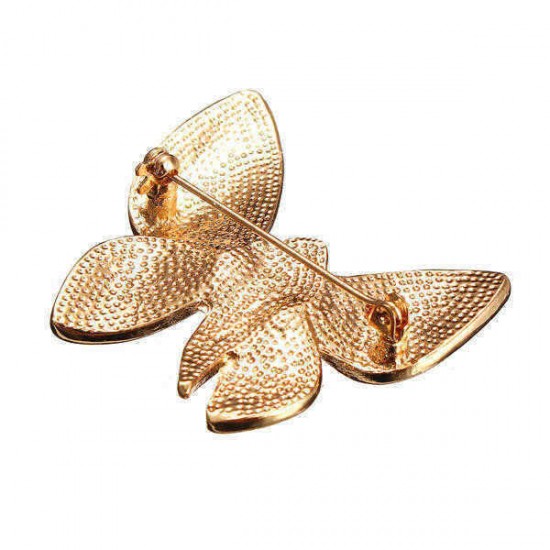 Elegant Butterfly Animal Inly Zircon Crystal Brooch Pin Accessories