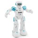 JJRC R11 CADY WIKE Smart RC Robot Gesture Sensing Touch Intelligent Programming Dancing Patrol Toy