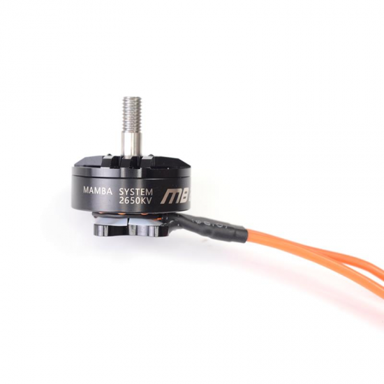 Mamba 2207 1750/2650KV 4-6S Brushless Motor CW Thread for 2019 GTR569 RC Drone FPV Racing