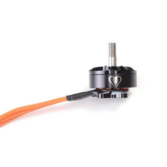 Mamba 2207 1750/2650KV 4-6S Brushless Motor CW Thread for 2019 GTR569 RC Drone FPV Racing