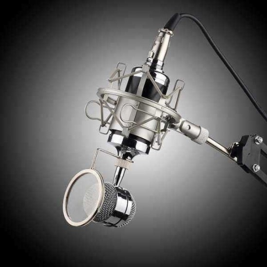 Professional Sound Dynamic Mic Studio Recording Condensor Microphone