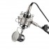 Professional Sound Dynamic Mic Studio Recording Condensor Microphone