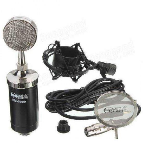 Professional Sound Dynamic Mic Studio Recording Condensor Microphone