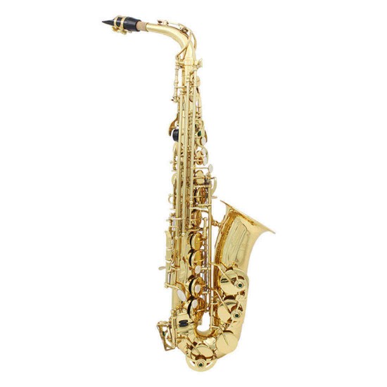 SLADE LD-896 E-flat Brass Pipe Alto Saxophone with Bag Clean Tools