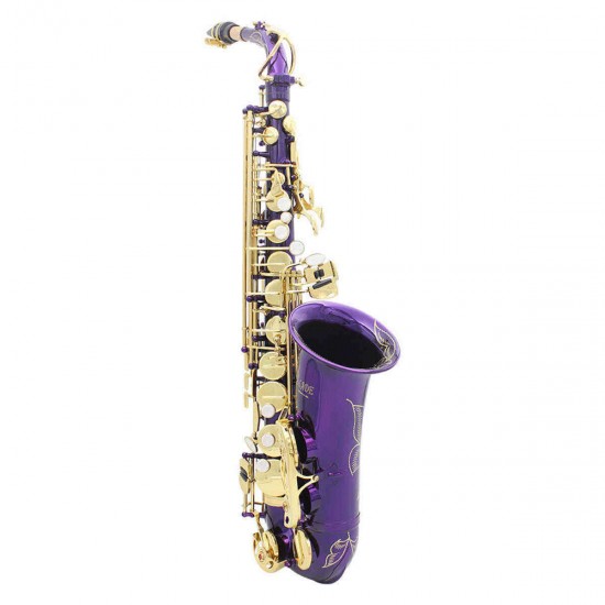 SLADE LD-896 E-flat Brass Pipe Alto Saxophone with Bag Clean Tools