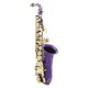 SLADE LD-896 E-flat Brass Pipe Alto Saxophone with Bag Clean Tools