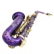 SLADE LD-896 E-flat Brass Pipe Alto Saxophone with Bag Clean Tools