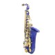 SLADE LD-896 E-flat Brass Pipe Alto Saxophone with Bag Clean Tools