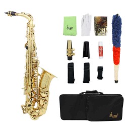 SLADE LD-896 E-flat Brass Pipe Alto Saxophone with Bag Clean Tools