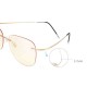 Unisex Vogue Vintage Flexible Anti-blue Light Radiation Protection Anti-fatigue Clear Lens Glasses Sunglasses