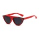 Women Outdoor Eye Cat Sunglasses Casual Transparent Mirror Polarized Glasses