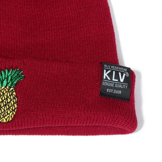 Women Winter Pineapple Embroidered Knitted Hats Casual Warm Skullies Beanies Caps