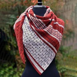 Women's Red Casual Color Block Scarves & Shawls Scarf