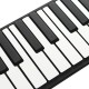 iWord 88 Key Professional Roll Up Piano With MIDI Keyboard