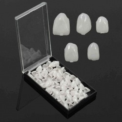 1 Box Dental Temporary Crown Veneers Material for Anterior Molar Teeth