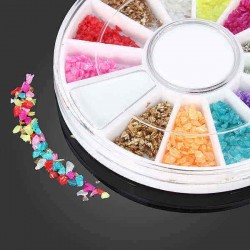 12 Colors Shell Powder DIY Nail Art Decoration Wheel