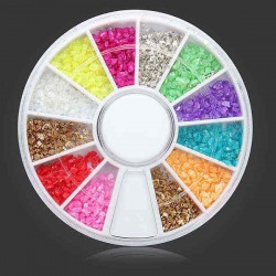 12 Colors Shell Powder DIY Nail Art Decoration Wheel