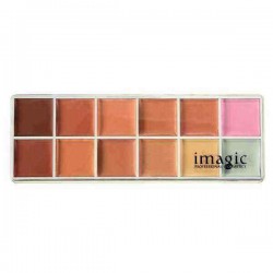 12 Naked Colors Thin Lasting Concealer Foundation Cream Palette Makeup