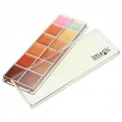 12 Naked Colors Thin Lasting Concealer Foundation Cream Palette Makeup
