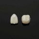 2 packs Dental Temporary Crown Material for Anterior + Molar Teeth Veneers