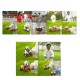 47mm Zen Meditation Balls Chinese Baoding Ball Health Stress Exercise Relief 47mm Zen Meditation Balls Chinese Baoding Ball Health Stress Exercise Relief