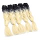 5Pcs 24" Ombre Dip Dye Kanekalon Jumbo Braid Pigtail Hair Extensions Ponytails Synthetic Wigs 5Pcs 24" Ombre Dip Dye Kanekalon Jumbo Braid Pigtail Hair Extensions Ponytails Synthetic Wigs