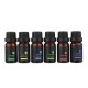 6 Pcs 10mL Aromatherapy Essential Oil Set 100% Pure kit Bottles Gift Box 6 Pcs 10mL Aromatherapy Essential Oil Set 100% Pure kit Bottles Gift Box