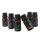 6 Pcs 10mL Aromatherapy Essential Oil Set 100% Pure kit Bottles Gift Box 6 Pcs 10mL Aromatherapy Essential Oil Set 100% Pure kit Bottles Gift Box