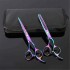 6.7" Professional Barber Hair Cutting Thinning Scissors Shears Hairdressing Set