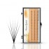 6D Black 6/8/10/12mm False Eyelash Individual Eyelashes Extension Cluster Kit Grafting Eyes Lashes