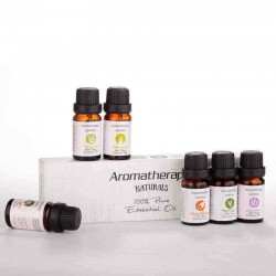 6Pcs Pure & Natural Essential Oil Humidifier Aromatherapy Fragrance 10ml Set