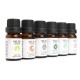 6Pcs Pure & Natural Essential Oil Humidifier Aromatherapy Fragrance 10ml Set 6Pcs Pure & Natural Essential Oil Humidifier Aromatherapy Fragrance 10ml Set