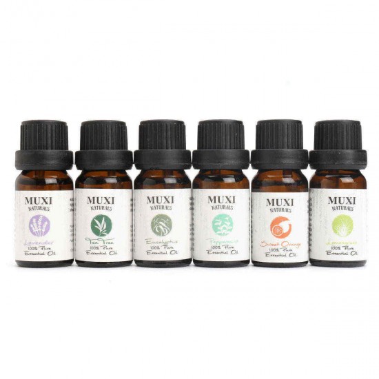 6Pcs Pure & Natural Essential Oil Humidifier Aromatherapy Fragrance 10ml Set 6Pcs Pure & Natural Essential Oil Humidifier Aromatherapy Fragrance 10ml Set