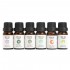 6Pcs Pure & Natural Essential Oil Humidifier Aromatherapy Fragrance 10ml Set