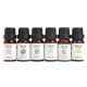 6Pcs Pure & Natural Essential Oil Humidifier Aromatherapy Fragrance 10ml Set 6Pcs Pure & Natural Essential Oil Humidifier Aromatherapy Fragrance 10ml Set