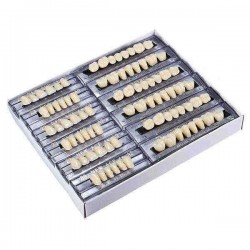 Acrylic Resin Denture Dental Teeth Shade A2 in An Red Box Oral Care