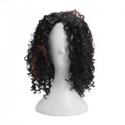 Brazilian Black Brown Hair Deep Wavy Curly Lace Front Full Wig
