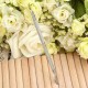 Cuticle Nail Pusher Spoon Remover Manicure Pedicure