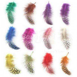 DIY Nail Art 12 Color Feather Series