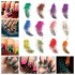 DIY Nail Art 12 Color Feather Series
