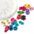 Dry Flower Acrylic UV Gel Nail Art Decoration Wheel DIY