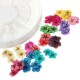 Dry Flower Acrylic UV Gel Nail Art Decoration Wheel DIY Dry Flower Acrylic UV Gel Nail Art Decoration Wheel DIY