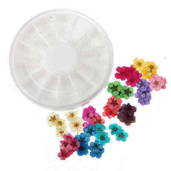 Dry Flower Acrylic UV Gel Nail Art Decoration Wheel DIY Dry Flower Acrylic UV Gel Nail Art Decoration Wheel DIY