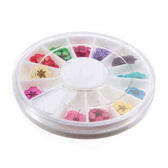 Dry Flower Acrylic UV Gel Nail Art Decoration Wheel DIY Dry Flower Acrylic UV Gel Nail Art Decoration Wheel DIY