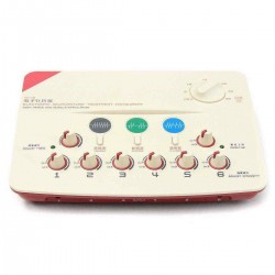 Electronic Acupuncture Massager Treatment Instrument Muscle Stimulator Therapy SDZ-II 10VA