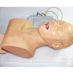 Electronic Model Oral Nasal Intubation Training Study Teaching Airway Management Trainer