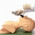 Electronic Model Oral Nasal Intubation Training Study Teaching Airway Management Trainer