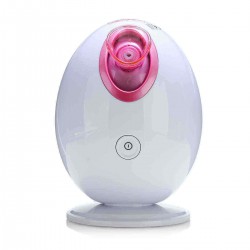 Facial Face Mist Thermal Steamer Spa Pores Steam Sprayer Skin Beauty