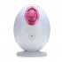 Facial Face Mist Thermal Steamer Spa Pores Steam Sprayer Skin Beauty