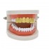 Hip Hop Plated Gold Braces Cut Face Cross Texture Teeth Real Gold Plating Teethgrillz Teeth Mould